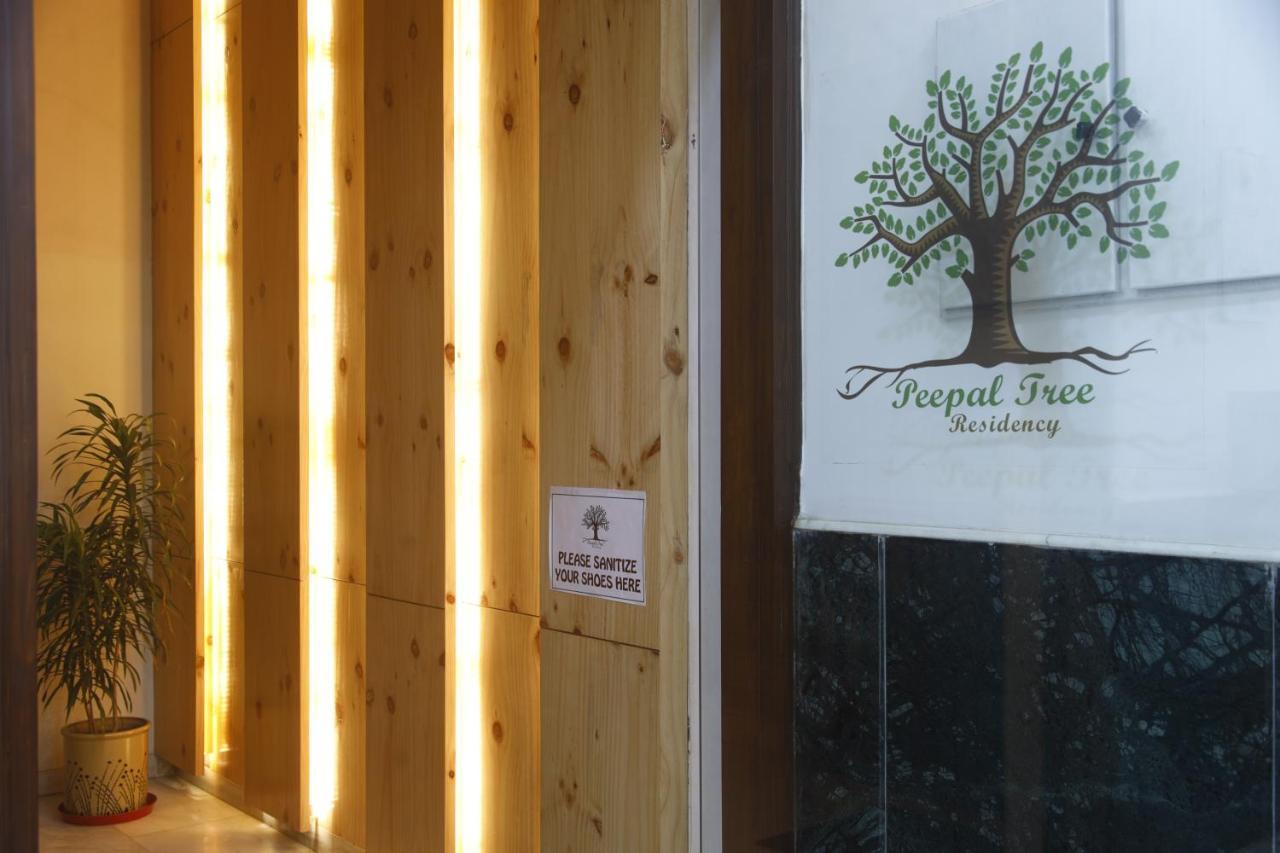 Bed and Breakfast Peepal Tree Residency Nueva Delhi Exterior foto